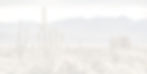 cactus-desert_edited.jpg