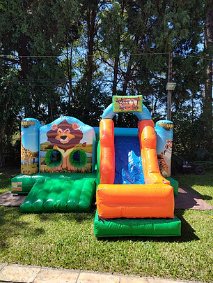 aluguel de brinquedos inflaveis safari
