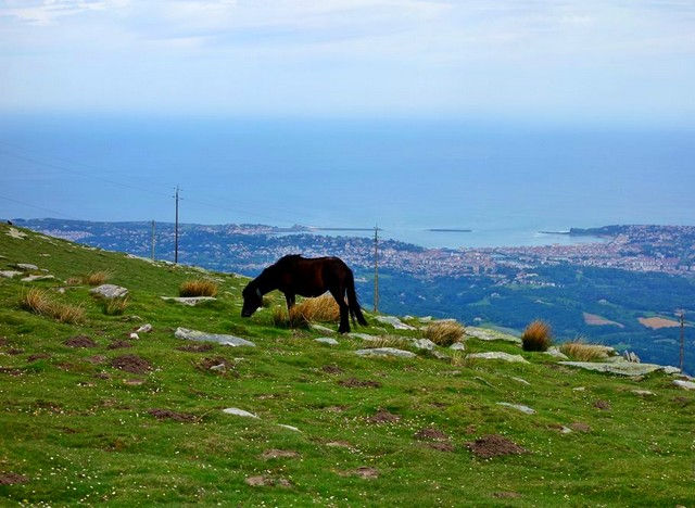 Miniature : Gourmand et surprenant
