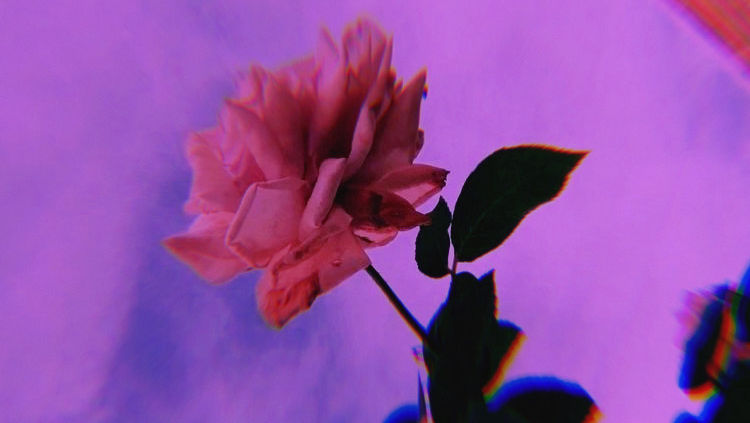 A Self-Love Spell for Nervous System Sovereignty