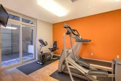 gym orange feature in newcastle painting