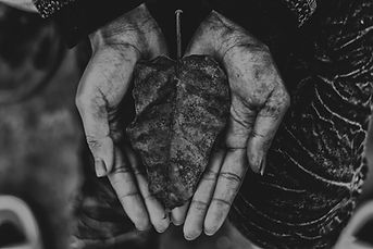 The Healing Hands_edited.jpg