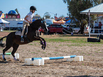 Horse Trials at the Cunnamulla Show