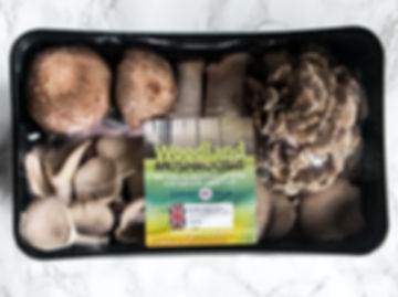 Mixed Woodland Mushrooms