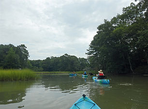 DSCN1069_edited.jpg