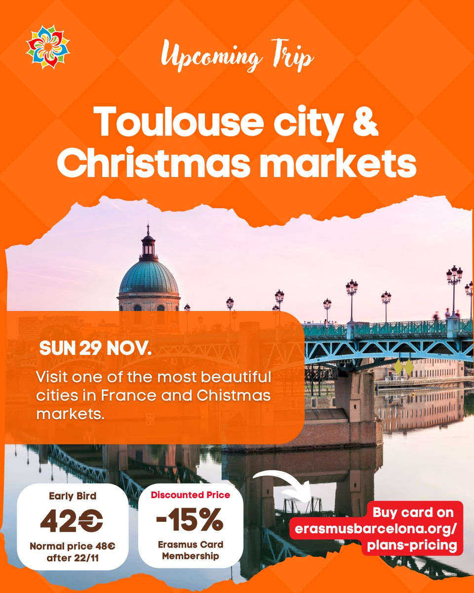 Toulouse City & Christmas Markets in France trip