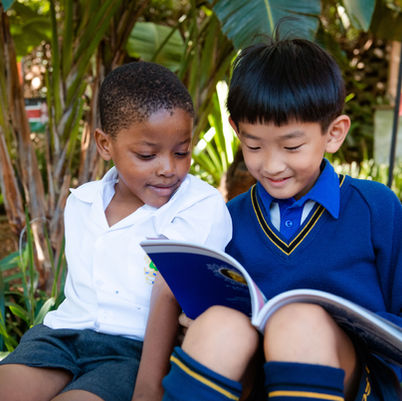 LSQ Narrative~The Year That Was.