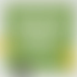 【2025年1月】不動産投資の消費税控除・還付のまとめ