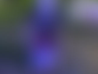 Ako som na Východ za šťastím išiel /srdce pre babku/