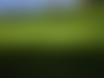 Ottawa Fall Lawn Care Guide