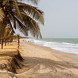 Murphy Beds for Coastal Homes in Mexico Beach, FL | Custom Wall Beds