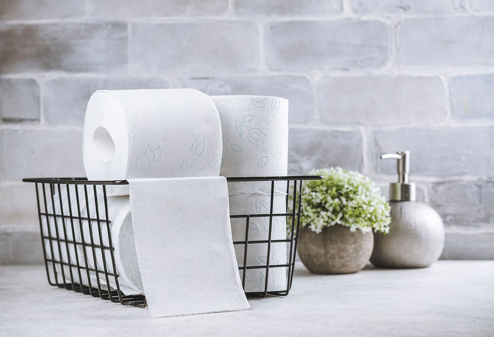 Toilet Paper In The Basket