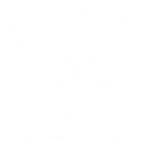 HDTreeService_White.png