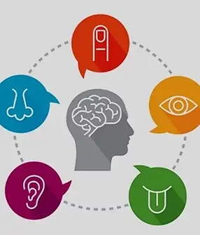 marketing-sensorial.webp