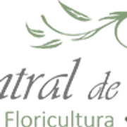 Logo de www.centraldecoroas24hs.com.br