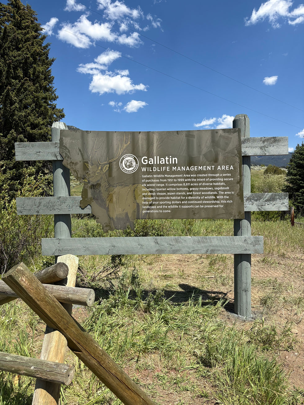 FWP Montana Sign Gallatin WMA