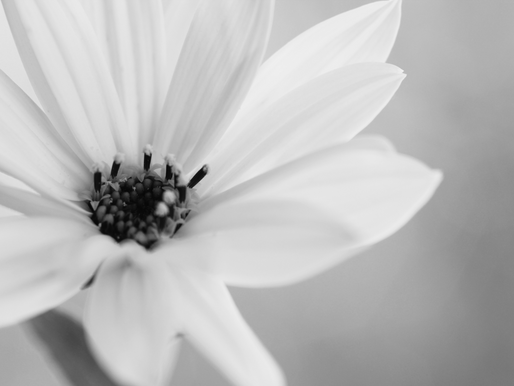 Navigating the Sudden Loss of a Loved One: What to Do When the Unimaginable Happens