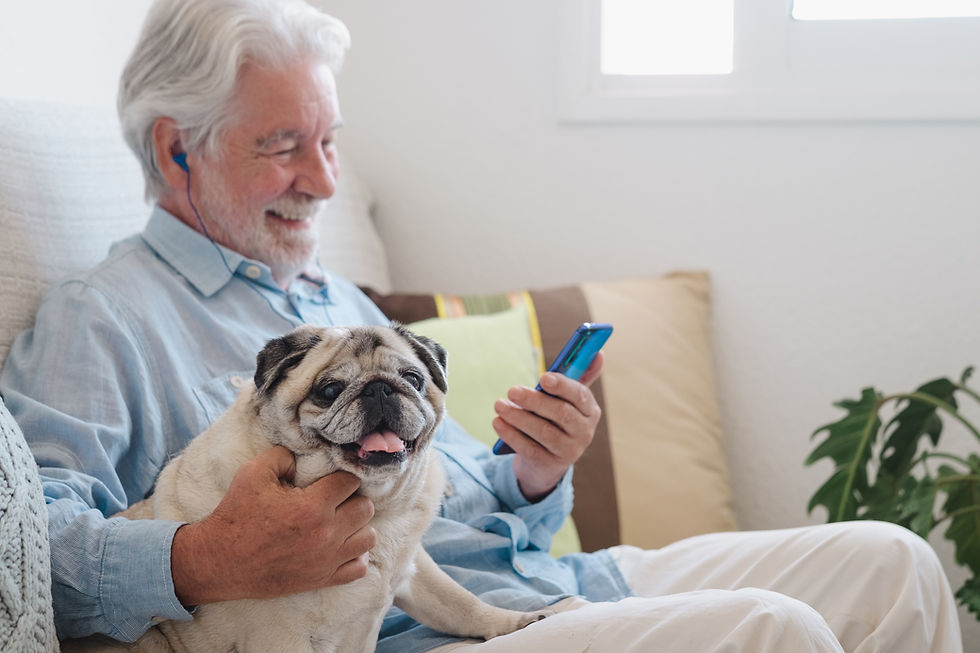 Reward Your Pet With the Best Treat of All