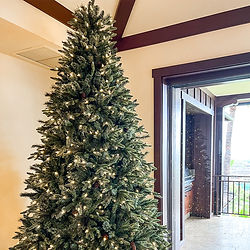 Jake Luna Creations - Christmas Tree Rental(2).jpg