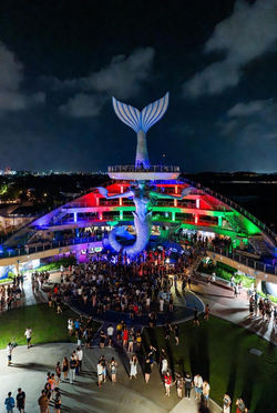 WhatsApp Image 2026-03-04 at 4.45.32 AM(3)