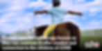 VBS Horse Sponsorship Landing Page Web Header.jpg