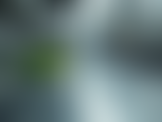 Mastering Effective Listeria Control Methods