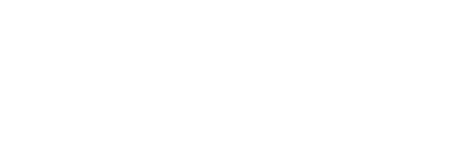 early gender scan adelaide.png