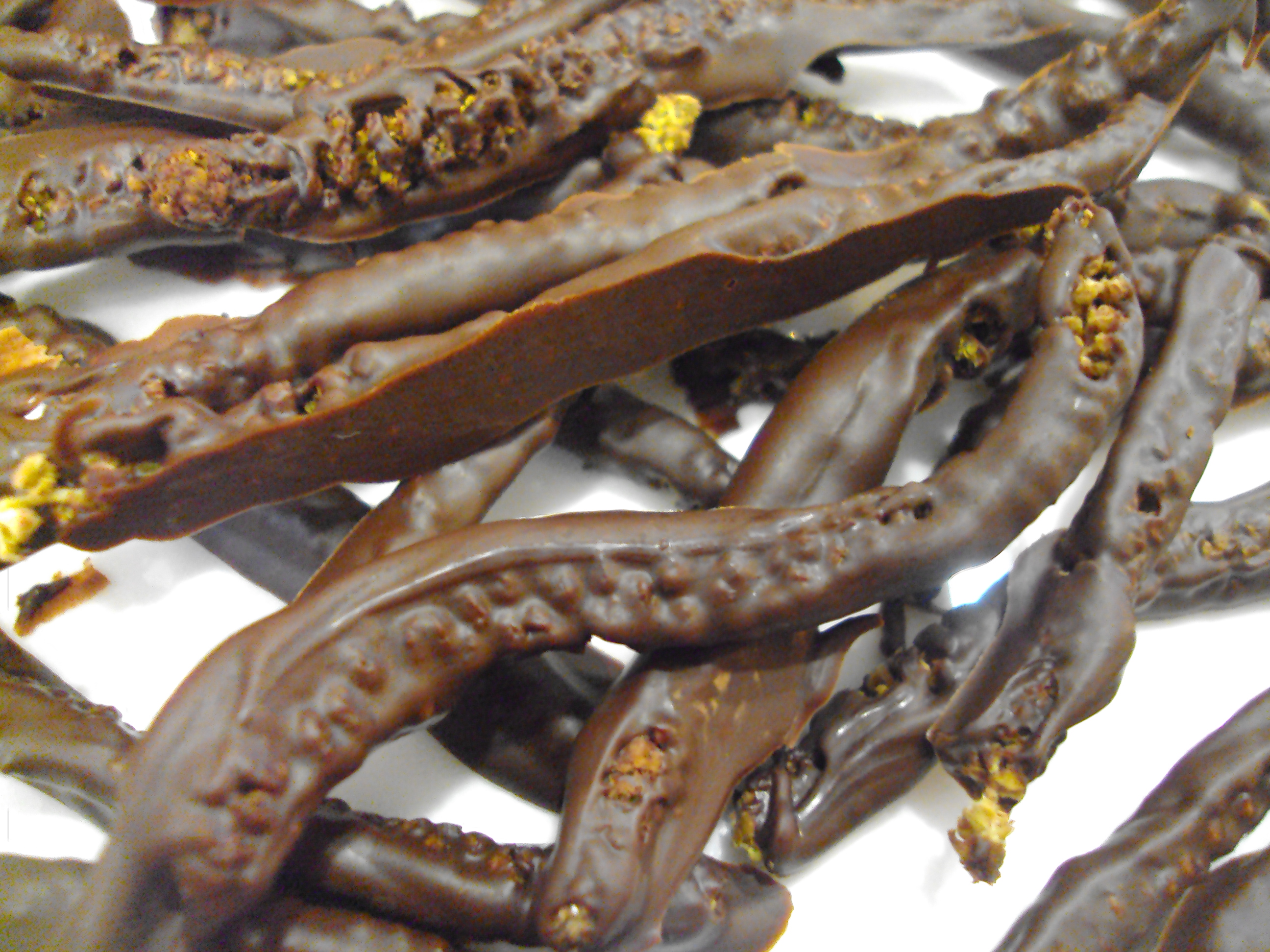 Chaton_noisetier_chocolat_stage_cuisine_plantes_sauvages_UnisVersNature