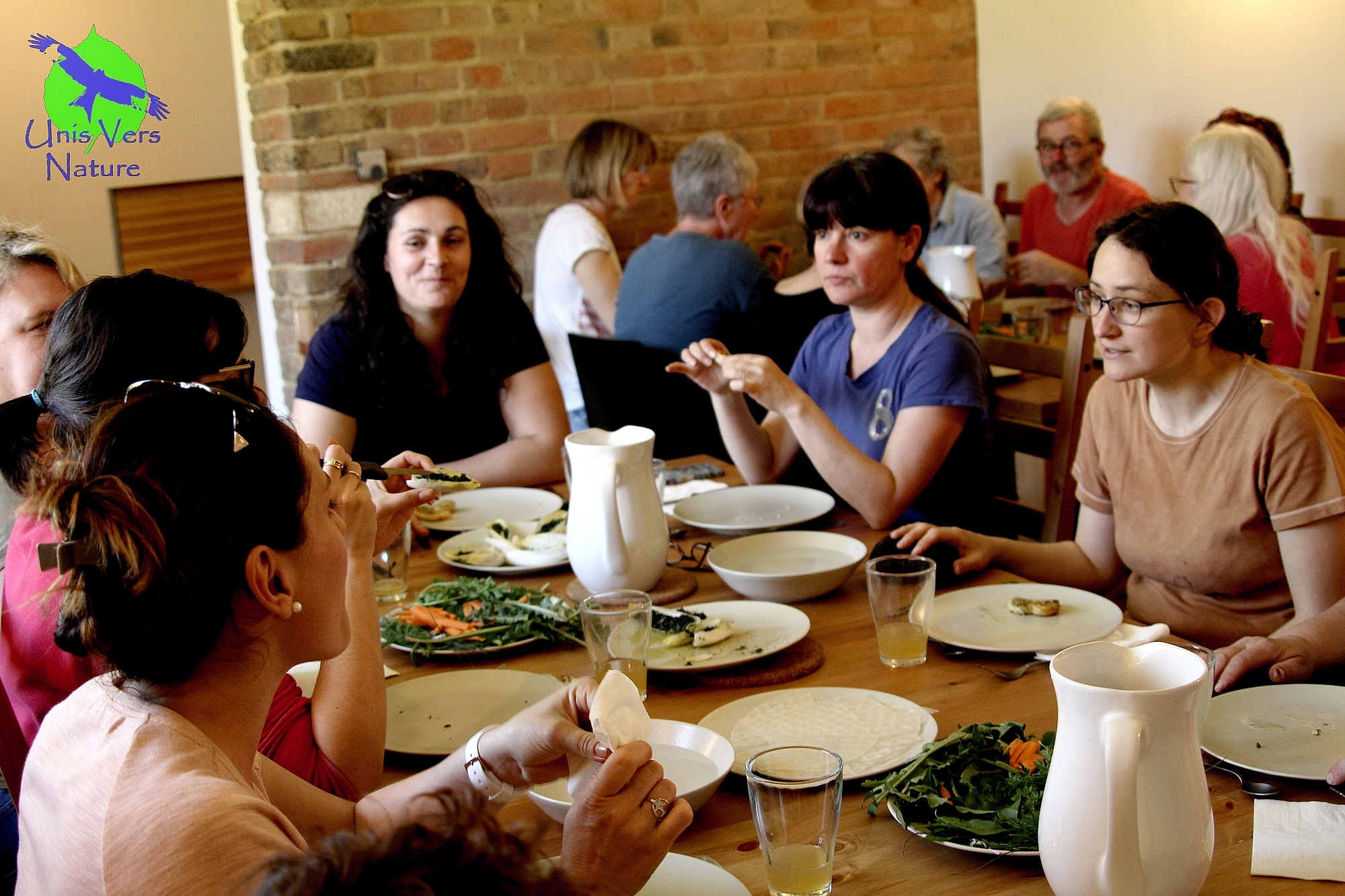 Stage cuisine et plantes sauvages