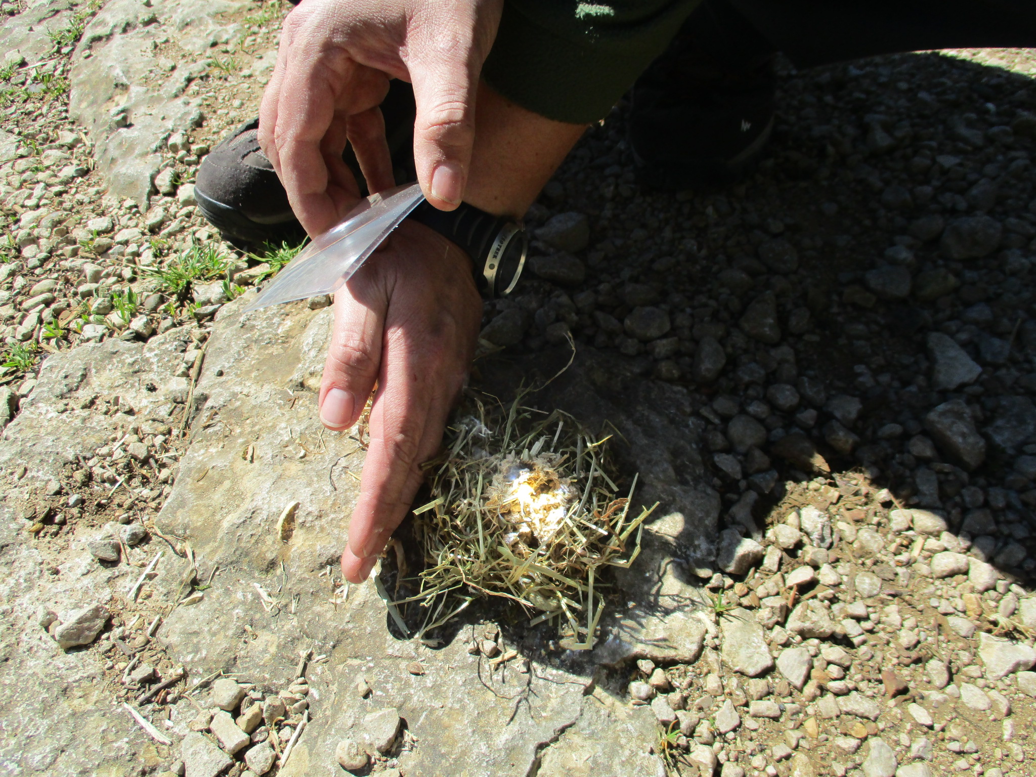 Allumer un feu avec une loupe