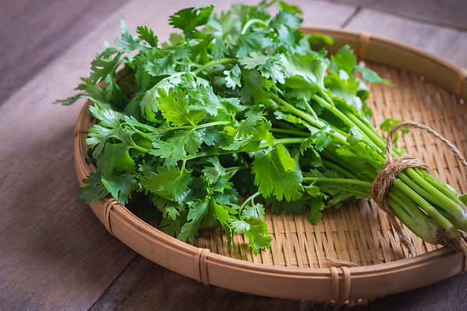Coriander in a basket