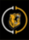 RH_CHEER_CLINICS_MASK_LOGO_edited.jpg