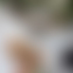 Kerstidee: Fazant met mirabellen en zoete aardappelcrème en gedroogde parmaham