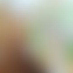 Tortilla met tonijn & avocadodressing