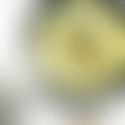 VEGAN komkommer/kokossoep