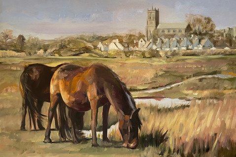Horses Christchurch.jpeg