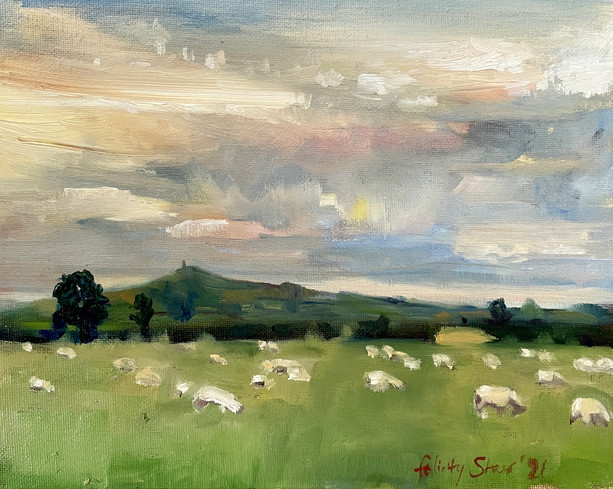 Sheep in Glastonbury.jpeg
