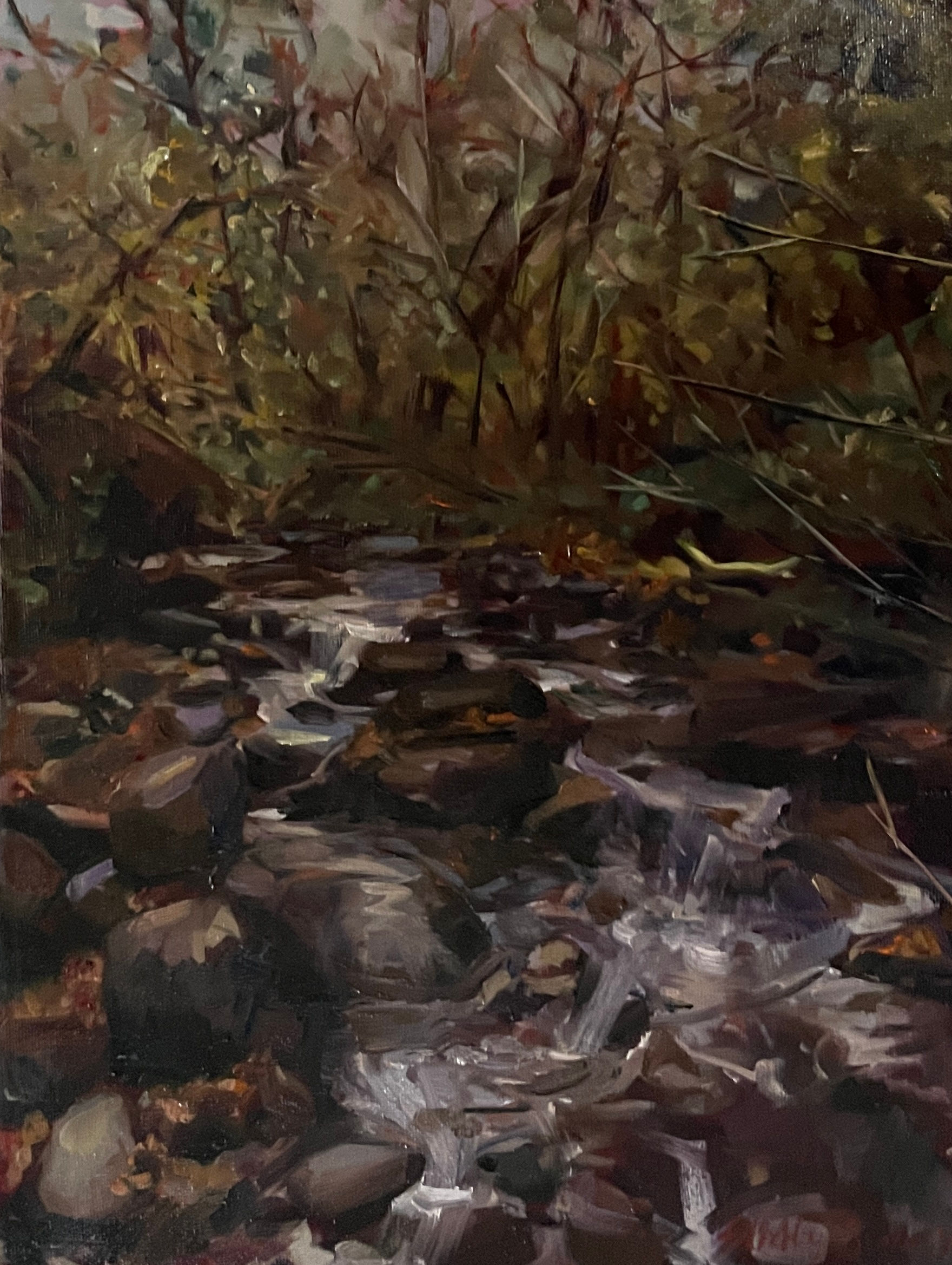 Study from Llanfairfechan, Wales