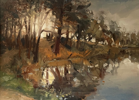 Yateley Nature Reserve.jpeg