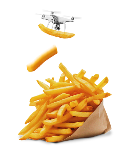 Fries_Drone.png