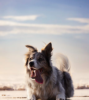 Shooting Aquacaux Cisco-12.jpg