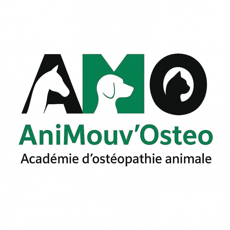 WhatsApp Image 2025-09-24 at 18.38.10.jpeg