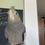Thumbnail: Cockatiel 