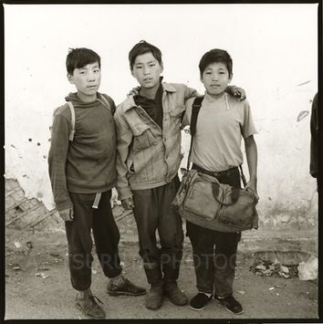 TREE BOYS_edited.jpg