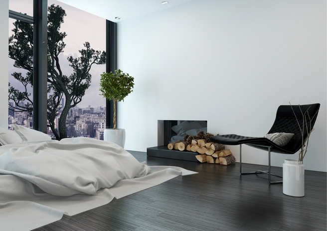 Décoration de style Contemporain