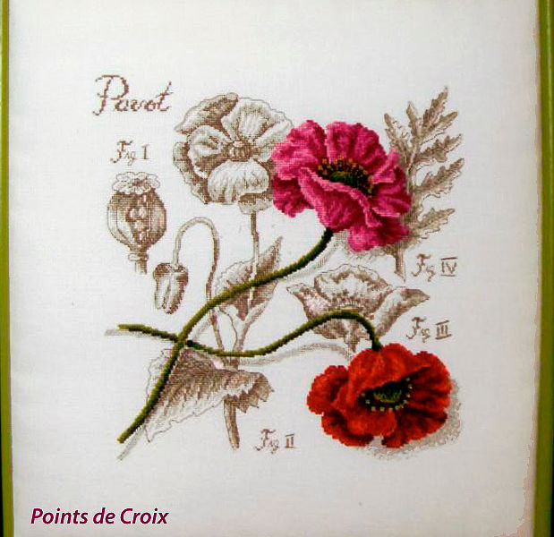 afacs-art-broderie2