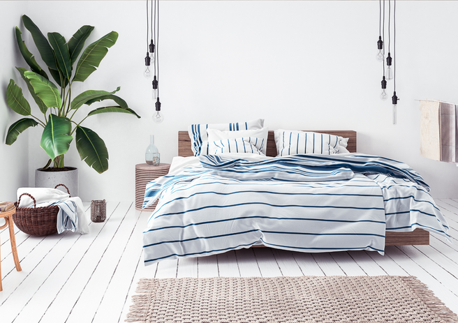 Décoration de style Scandinave