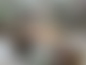 Les Nouveautés de ClairMatin