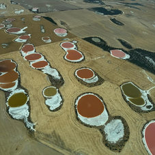 在大自然中充电,攒够开启新一年的勇气