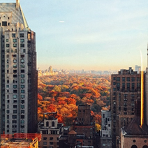 Thompson Central Park New York 探索曼哈顿的最佳起点